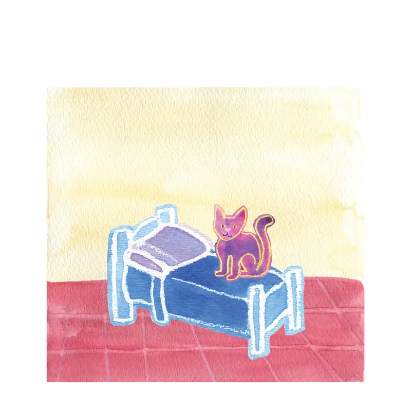 cat, bed, watercolor, illustration, children's book