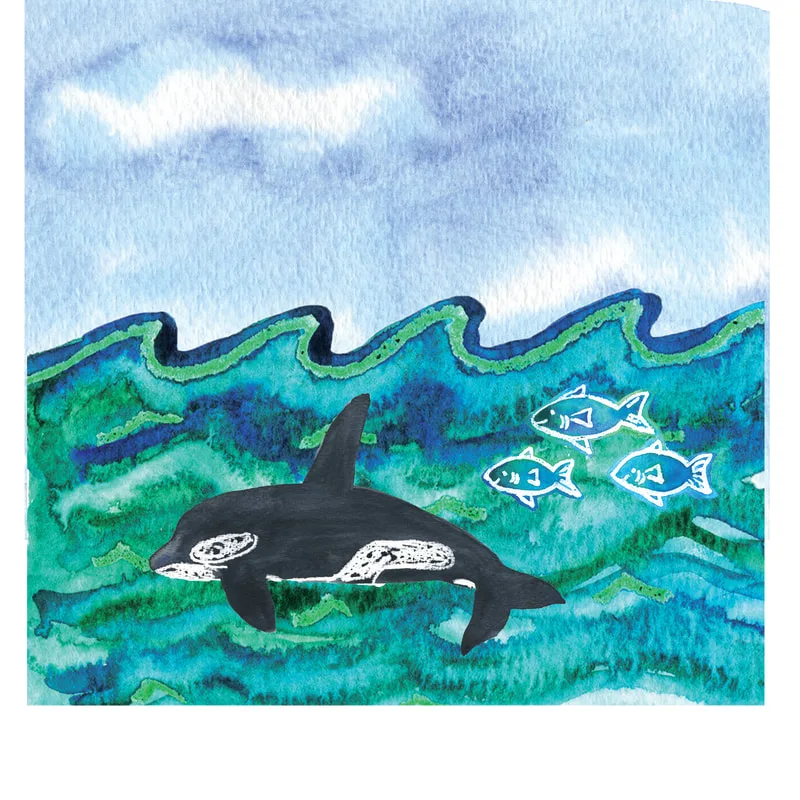 orca, fish, ocean, watercolor, illustration, children's book