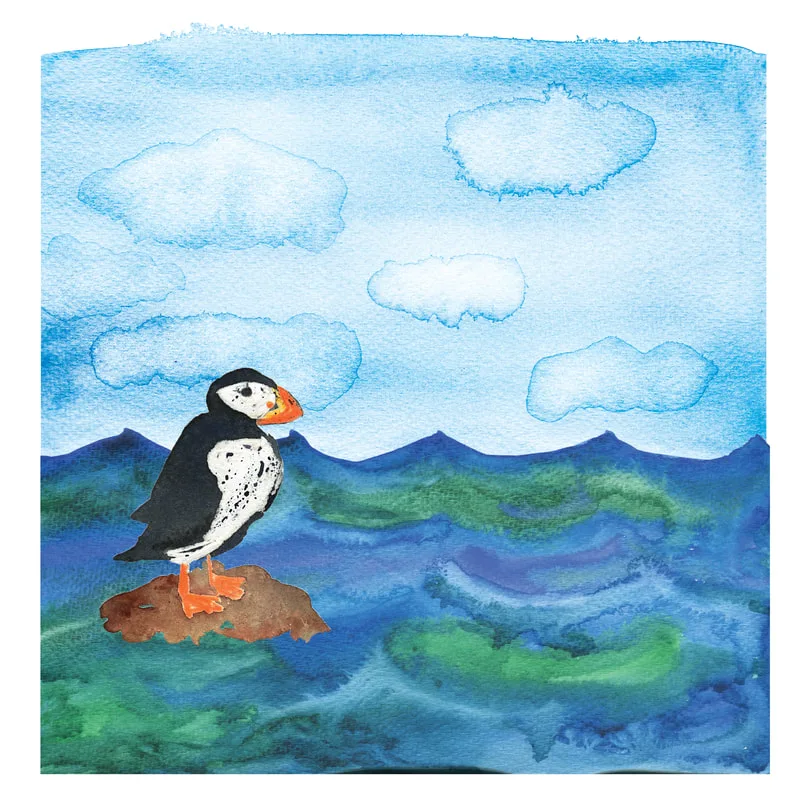 puffin, ocean, sky, illustration, children's book, watercolor